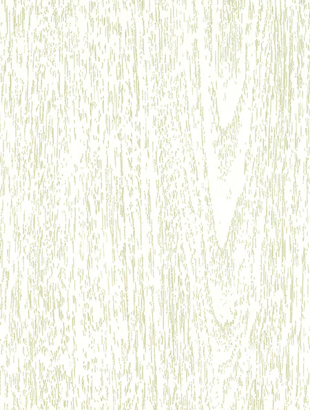 白桦木 / 无缝板